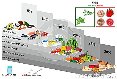 Healthy food pyramid infographic diagram Vector Illustration