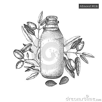 Healthy food template. Hand drawn illustrations of almonds and bottle of almond milk. Branding or packaging vector design. Cartoon Illustration