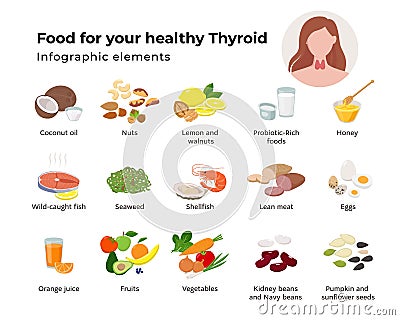 Healthy food for the thyroid set of icons in flat design isolated on white background. Foods that nourish the thyroid Vector Illustration