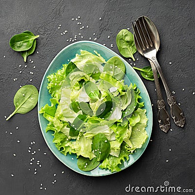 Healthy food. Top view of a fresh green vegetable salad of spinach, lettuce and sesame seeds Stock Photo