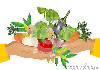 Healthy food (vegetables), cdr vector Vector Illustration