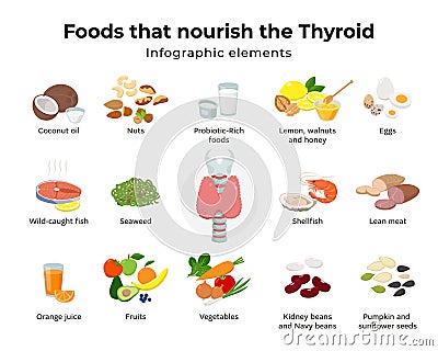 Healthy foods for thyroid, set of food icons in flat design isolated on white background. Food that nourish the thyroid Vector Illustration