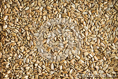 Healthy fresh roasted hulled sunflower seeds Stock Photo