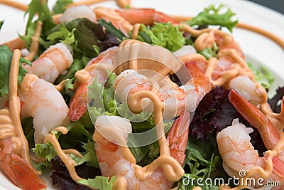 Healthy fresh shrimp salad Stock Photo