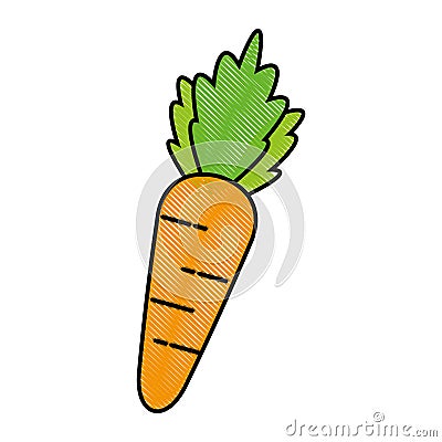 Healthy fresh vegetable Vector Illustration