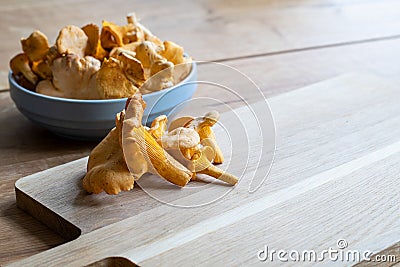 Edible chanterelle mushrooms on rustic wooden cutting board in the kitchen Stock Photo