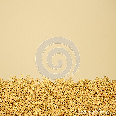 Healthy Golden Linseeds Seed or Grain On A Plain Background Stock Photo