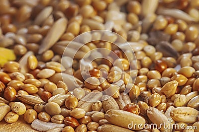 Healthy grains Stock Photo