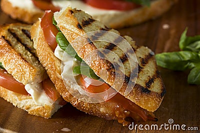 Healthy Grilled Basil Mozzarella Caprese Panini Stock Photo