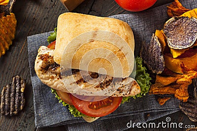 Healthy Grilled Chicken Sandwich Stock Photo