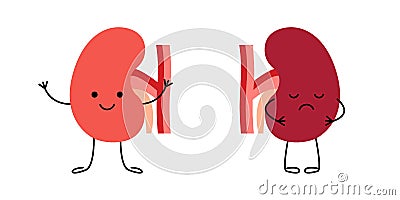 Healthy happy kidney and sad unhealthy sick pain kidney characters. Check health of renal organ. Internal organ kidney Vector Illustration