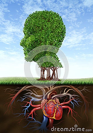 Healthy Heart And Mind Stock Photo