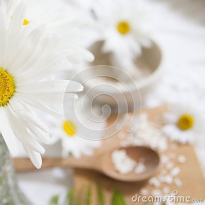 Healthy herbal flat lay for your beauty Stock Photo