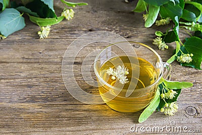Herbal linden tea Stock Photo