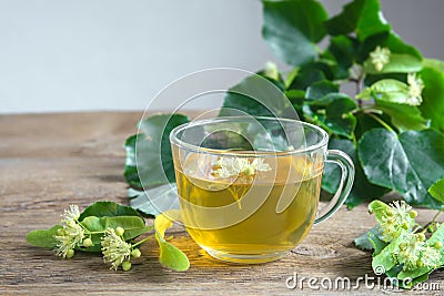 Herbal linden tea Stock Photo