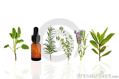 Healthy Herbs Stock Photo