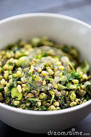 Healthy and Herby Salad with Wheatberries and Green Vegetables Stock Photo