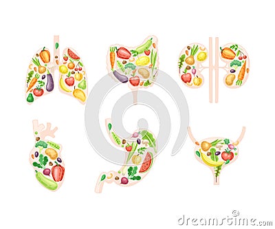 Healthy Human Internal Organs with Anatomical Lungs, Stomach, Kidneys, Bladder and Heart with Fruit and Vegetables Vector Illustration