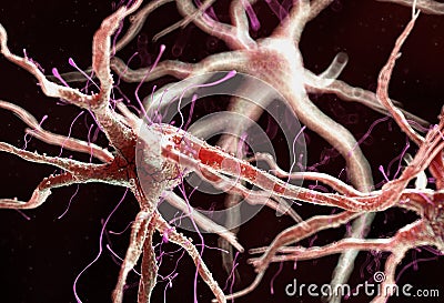 A healthy human nervous cell Cartoon Illustration