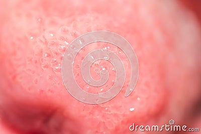 Healthy Human Tongue Taste Buds Macro Stock Photo