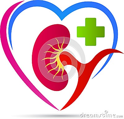 Healthy kidney care Vector Illustration