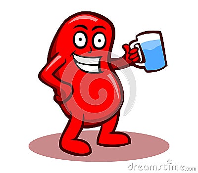 Healthy Kidney Vector Illustration