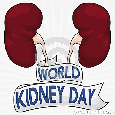 Healthy Kidneys with Greeting Ribbon to Commemorate World Kidney Day, Vector Illustration Vector Illustration