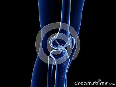 the healthy knee joint Cartoon Illustration