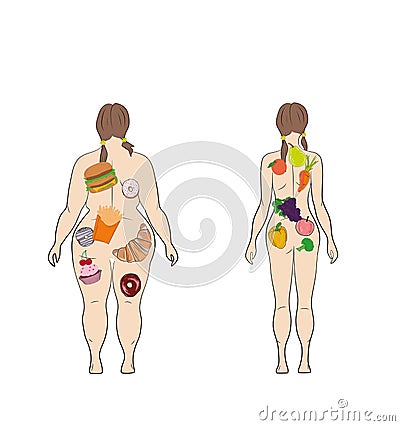 Healthy lifestyle, a healthy diet and daily routine. Diet. Choice of girls: being fat or slim. Healthy lifestyle and bad habits. Vector Illustration