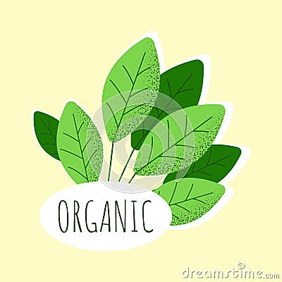 Healthy lifestyle. Fresh and natural eco food Vector Illustration