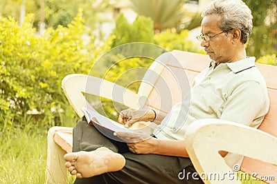 Healthy looking senior man in late 70s sitting in garden at home and reading book, outdoor - old man relaxing at Park by seriously Stock Photo