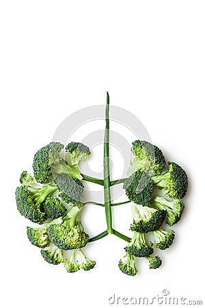 Healthy Lungs Stock Photo