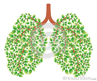 Healthy lungs Vector Illustration