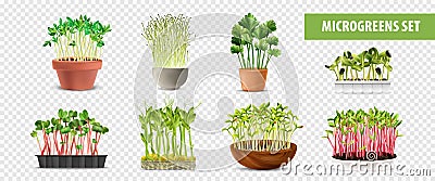Healthy Microgreens Transparent Set Cartoon Illustration