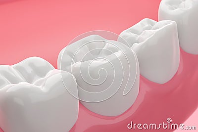 Healthy molar teeth and pink gums Stock Photo