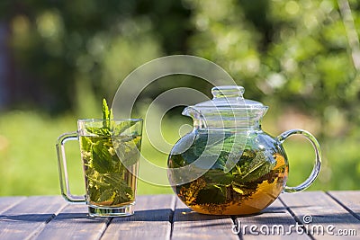 Healthy nettle tea in a glass tea pot and mug in the summer garden on wooden table Stock Photo