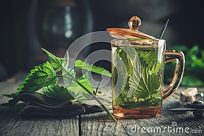 Healthy nettle tea, nettle plants, gloves and garden pruner on old wooden table. Stock Photo