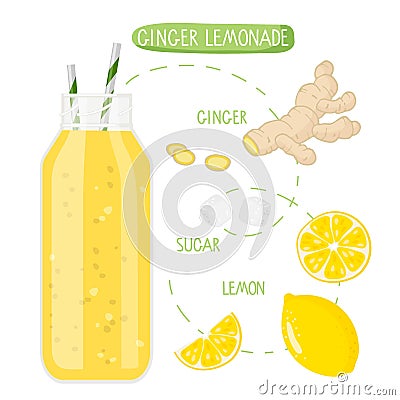 Healthy nutrition. Ginger Lemonade recipe. Glass with Yellow beverage and fruit and vegetable ingredients with Vector Illustration
