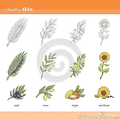 Healthy oils Vector Illustration