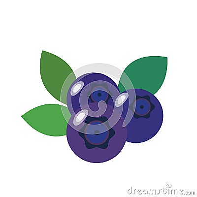 A nature Healthy organic blueberry Vector Illustration