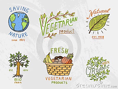 Healthy Organic food logos set or labels and elements for Vegetarian and Farm green natural vegetables products, vector Vector Illustration