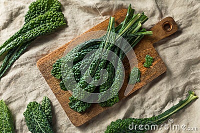 Healthy Organic Green Lacinato Kale Stock Photo