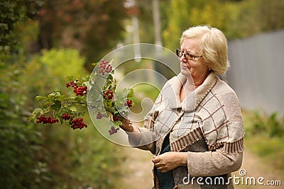 Healthy pensioner woman in garden with viburnum berries collect harvest close up photo Stock Photo