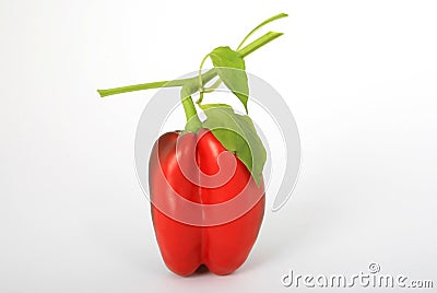 Healthy red pepper food, with stalk Stock Photo