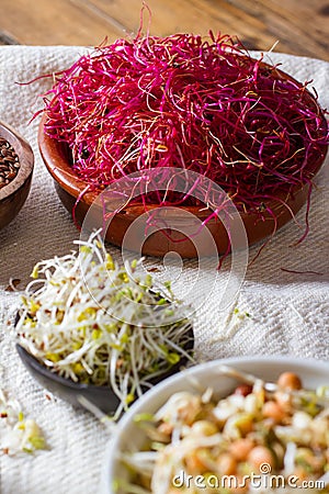 Healthy seeds and sprouts Stock Photo