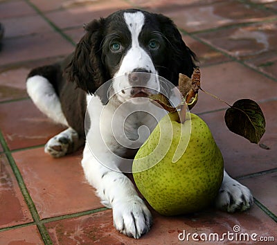 Healthy Snack Stock Photo