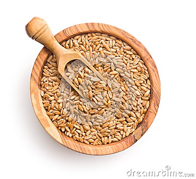 Healthy spelt grains Stock Photo