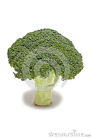 Broccoli floret Stock Photo
