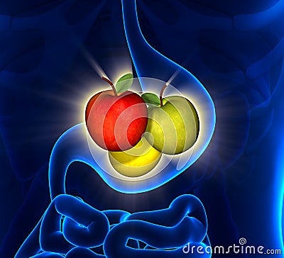 Healthy Stomach Stock Photo