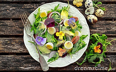 Healthy summer salad with quail eggs, avocado, pecans, wild rocket, red onion and edible viola flowers. Stock Photo